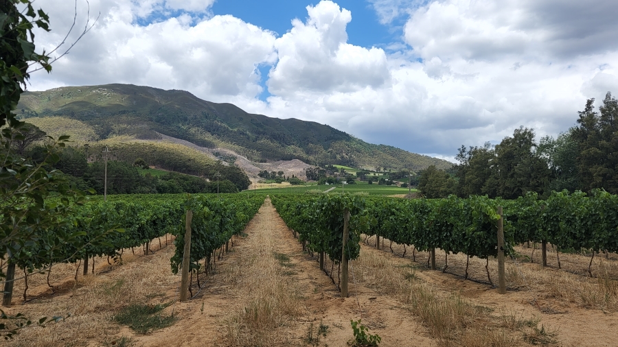 Commercial Property for Sale in Wellington Central Western Cape